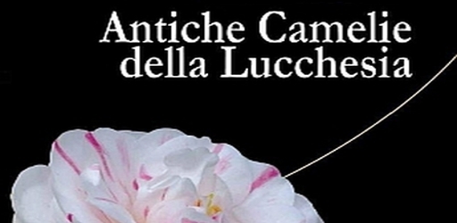 AnticheCamelieLucchesia2021 (1)_0