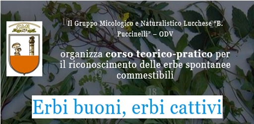 Gruppo Micologico e Naturalistico Lucchese B. Puccinelli