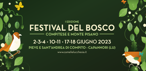 Festival_Bosco_Banner_1600x900