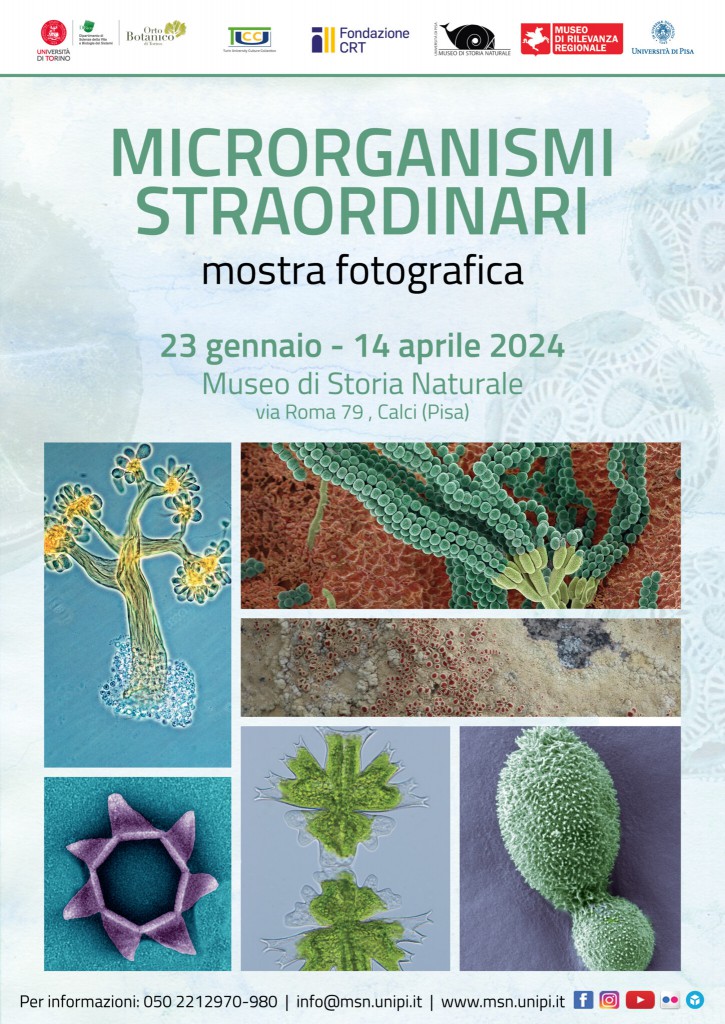 microrganismi-straordinari-locandina